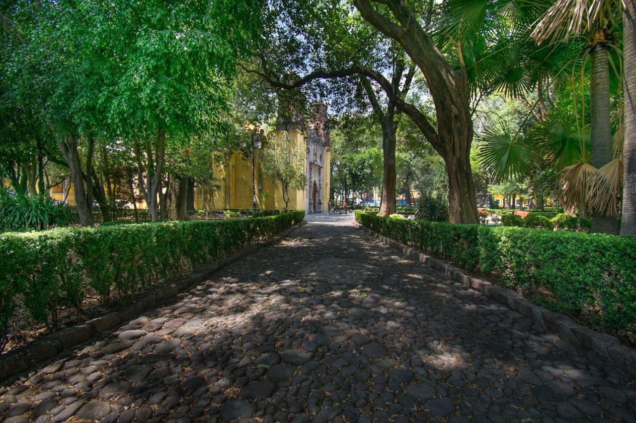 Fl 59 Coyoacan At Your Doorstep! Apartment Мексико Сити Екстериор снимка