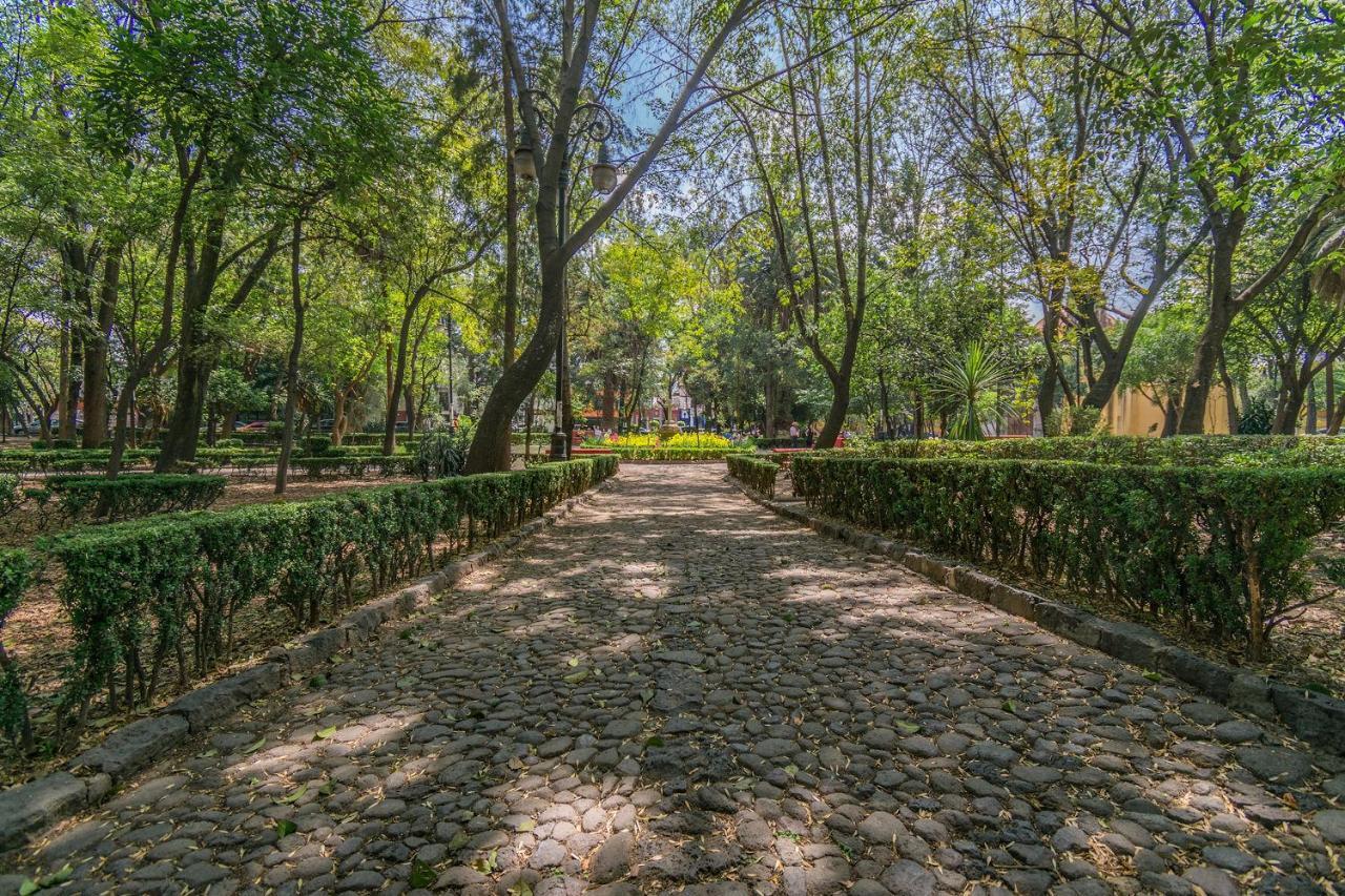 Fl 59 Coyoacan At Your Doorstep! Apartment Мексико Сити Екстериор снимка